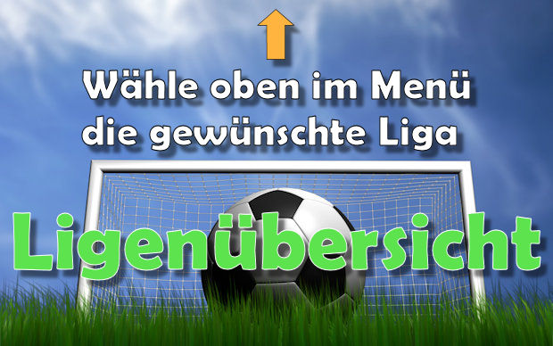 Ligenuebersicht